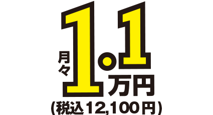 月額1万円～税込11,000円